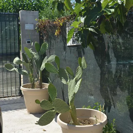 Villino Anna E Pippino 别墅 卡拉塔菲米