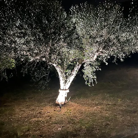 Villino Anna E Pippino Villa