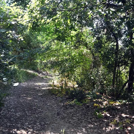 Villino Anna E Pippino 卡拉塔菲米