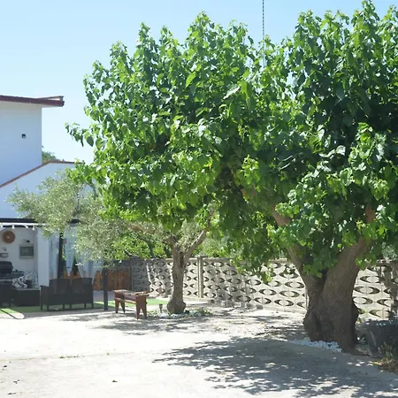 فيلة Villino Anna E Pippino كالاتافيمي