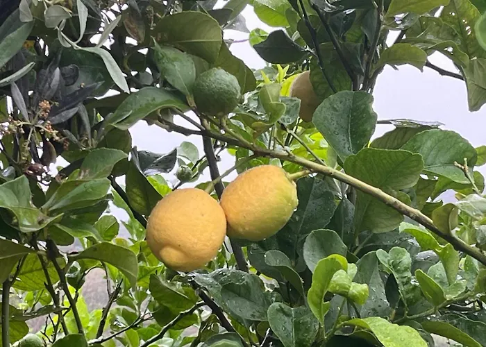 Villino Anna E Pippino * 卡拉塔菲米