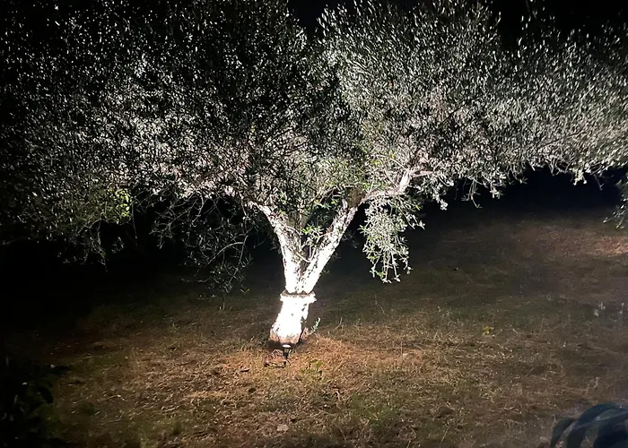 Villino Anna E Pippino 别墅