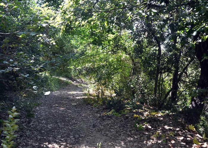 Villino Anna E Pippino 卡拉塔菲米