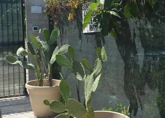 Villino Anna E Pippino 别墅 卡拉塔菲米